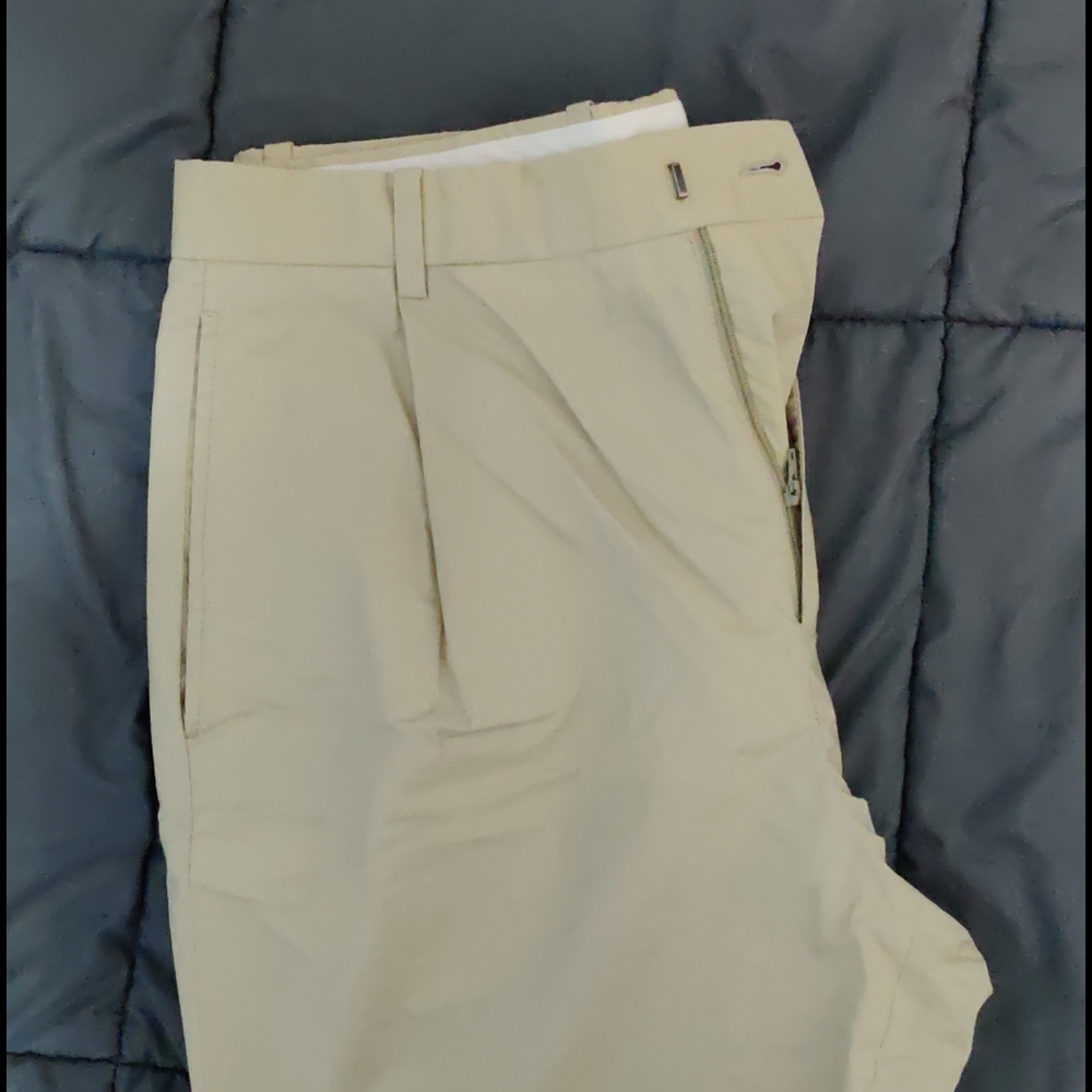 Cream Theory dress shorts
